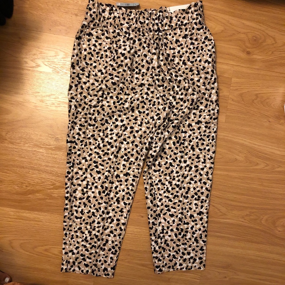 Ann Taylor pants